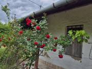 Eladó Családi ház, Poroszló, 70nm