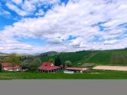 Eladó Egyéb mezőgazdasági ingatlan, Rád, 225nm