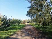 Eladó Lakóövezeti telek, Békéscsaba, Erzsébethely, Hajnóczy utca, 3000nm