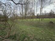 Gazdálkodók figyelem! Kivételes lehetőség a Bakonyban – 2980 m²-es szántó eladó Jásd csendes, fejlőd