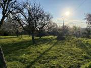 PANORÁMÁS ZÁRTKERT ELADÓ VÁRPALOTÁN – TERMÉSZET, NYUGALOM, LEHETŐSÉG EGY HELYEN!