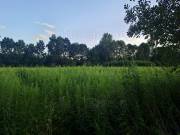 Eladó 7616 m²-es legelő terület Nagykanizsa mellett, kiváló megközelítéssel