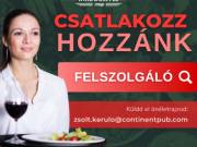 Felszolgáló álláshirdetés