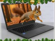 Felújított notebook: LENOVO ThinkPad T14s G1 -12.11