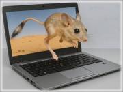 Laptop NEKED: HP EliteBook 840 G6 (magyar billentyűzettel) a Dr-PC-től