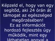  Hol hibázzuk el leggyakrabban?