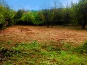 ???? Eladó építési telek Miskolc – Magashegy városrészen, Kikerics utcában!EMEK ÁRON!