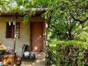 Miskolcon az Egyetemváros szomszédságában, zártkerti ingatlan, gyümölcsös ELADÓ!