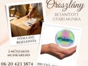 Operátori Munkalehetőség Oroszlányon