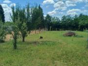 Szoombathelyen telek eladó!