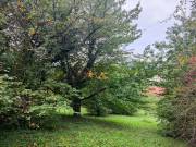 1512 m2-es építési telek Zalaegerszeg, Jánkahegy