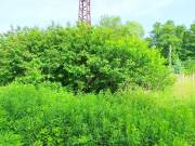 3751 m2-es külterületi telek Zalaszentgrót