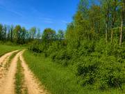 4460 m2-es külterületi telek Zalaszentgrót