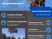 Veszélyes fakivágás, ágdarálás, tuskómarás