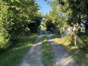 Szombathelyen vízzel,villannyal 608 nm-es kert eladó sok gyümölcsfával