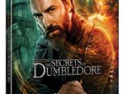 Legendás állatok és megfigyelésük- Dumbledore titkai-fémdoboz ("Character" steelbook) (BD+