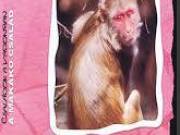 Családok a vadonban- A makákó család (2007)-eredeti dvd-bontatlan!