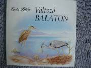 ENTZ BÉLA VÁLTOZÓ BALATON  E