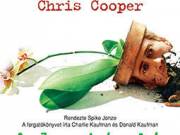 ADAPTÁCIÓ (2002) DVD - Nicolas Cage, Meryl Streep, Chris Cooper, Tilda Swinton