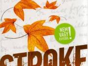 JANKOVICS ÉVA - STROKE (ATHENAEUM KIADÓ, 2011) ISBN: 9789632931241