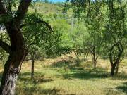 Alsópetény panorámás telek eladó