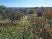 Eladó 1336 m2-es zártkert Magyarpolány