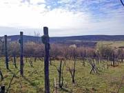 Eladó 1895 m2-es egyéb Balatonalmádi