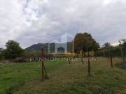 Eladó 2200 m2-es zártkert Somlószőlős