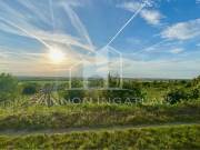 Eladó 1702 m2-es zártkert Somlószőlős