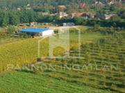 Eladó 143734 m2-es egyéb Csikvánd