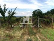 Eladó 11294 m2-es zártkert Vanyola