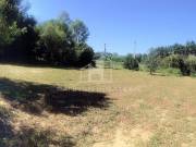 Eladó 1019 m2-es egyéb Nagykanizsa