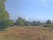 Eladó 3041 m2-es zártkert Balatonalmádi