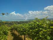 Eladó 1514 m2-es zártkert Tihany