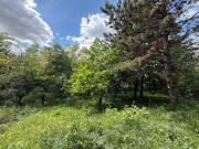 Befektetők figyelmébe! Biatorbágy-Ürgehegy - Közel 3500 m2-es zártkerti telek Eladó!