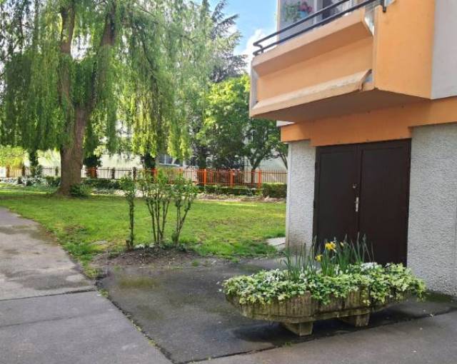 Gyermekfelügyelet, Bébiszitter szolgálat  - Kép