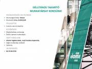 Délutános Takarító Hatvan