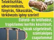 Veszélyes fák kivágása/telektisztítás!