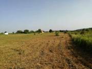 Eladó 5002 m2-es Építési telek Cserszegtomaj