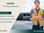 Sofőr