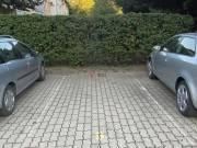 Kiadó Önálló garázs, Szeged, Harmónia lakópark, Csaplár Benedek, 8nm