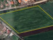 20.418 m² méretű telek eladó Lébényben – lakópark fejlesztési lehetőséggel!