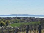 Eladó beépíthető balatoni panorámás zártkert Balatoncsicsón!