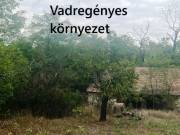 Ágasegyháza Zsombos dűlőben, újraépíthető romos tanya, 4,5 Ha területtel eladó.