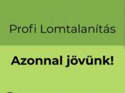 Lomtalanítás és bontás