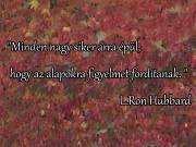 Képességfejlesztés