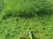 Fűnyírás, fűkaszálás 