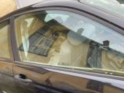 BMW E46 ajtó üvegek nem postázom kizárólag telefonon érdeklődjön