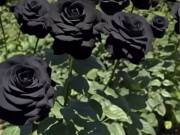 Egyedülálló Anyuka