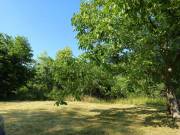 Isaszegen telek eladó